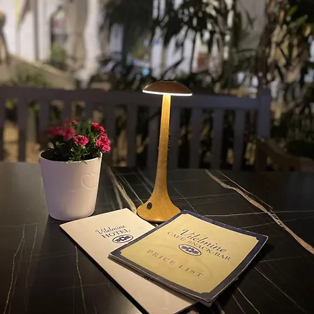 Hotel Vilelmine La Canea