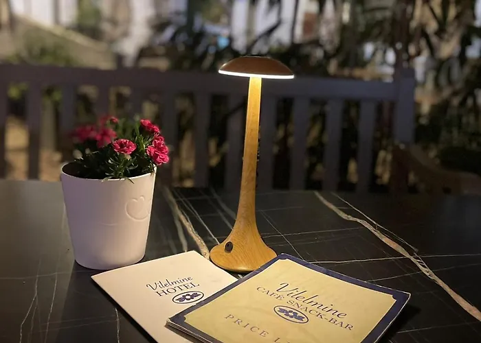 Hotel Vilelmine Chania (Crete)