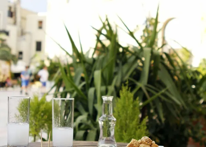 Szálloda Vilelmine 3*